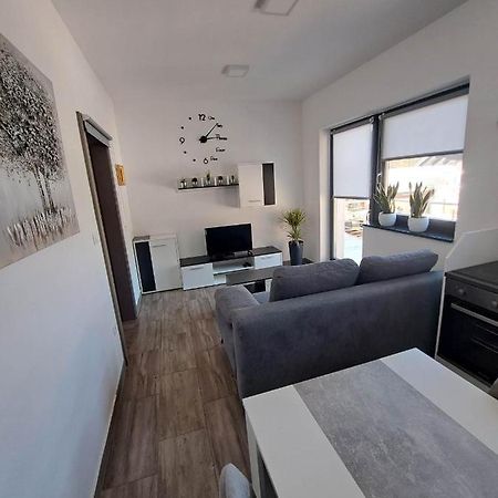 Apartmaji Tisa In Zana Rovte エクステリア 写真