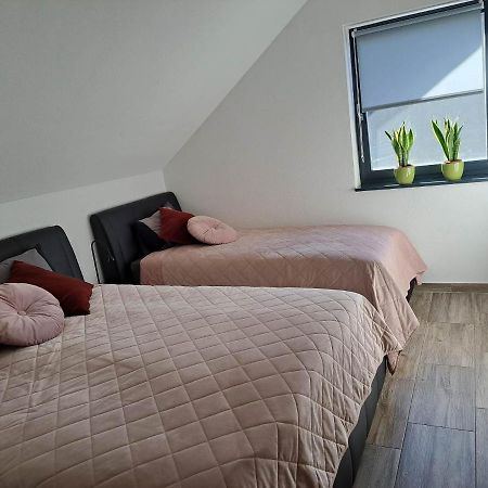 Apartmaji Tisa In Zana Rovte エクステリア 写真