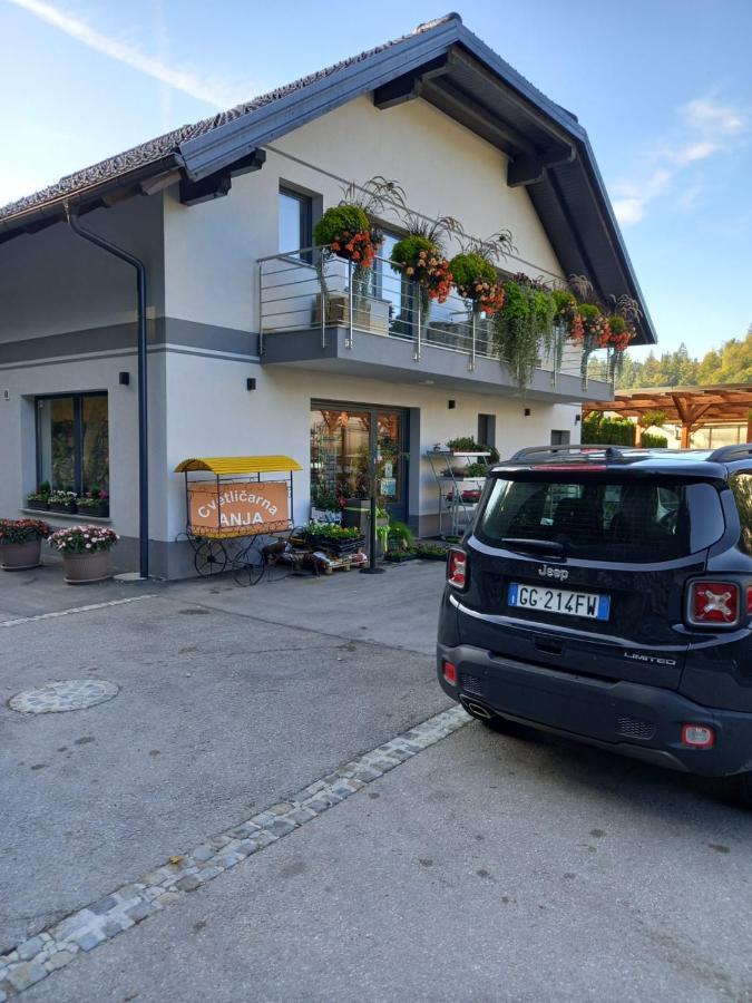 Apartmaji Tisa In Zana Rovte エクステリア 写真