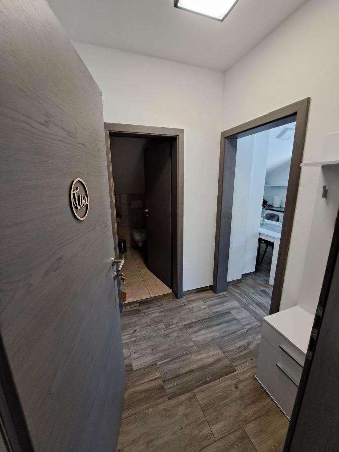 Apartmaji Tisa In Zana Rovte エクステリア 写真