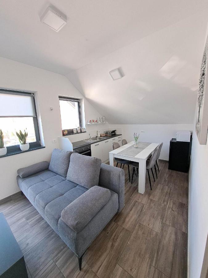 Apartmaji Tisa In Zana Rovte エクステリア 写真