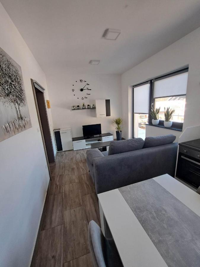 Apartmaji Tisa In Zana Rovte エクステリア 写真