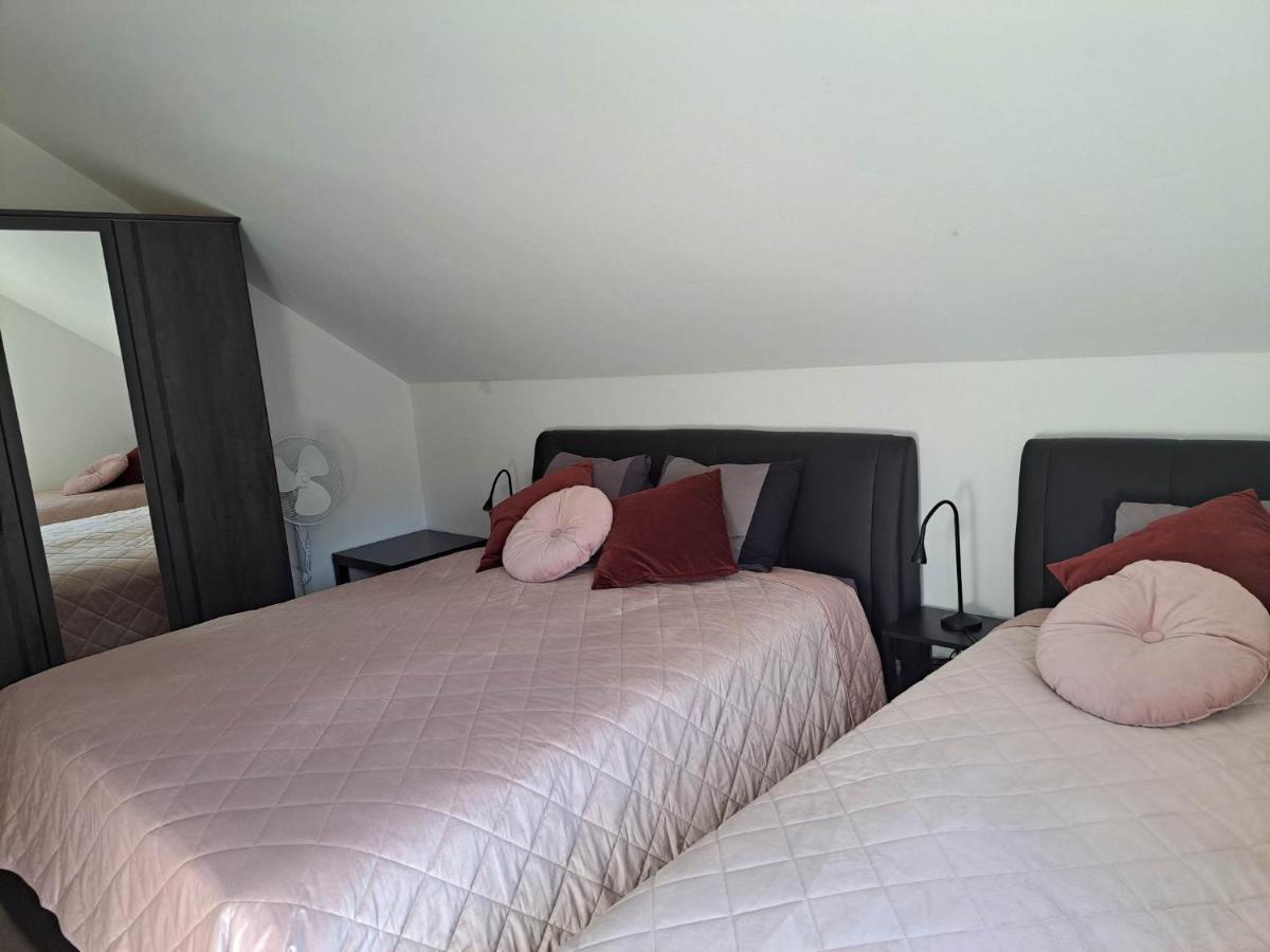 Apartmaji Tisa In Zana Rovte エクステリア 写真