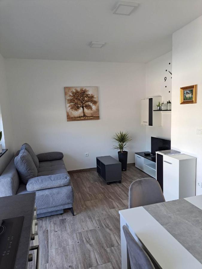 Apartmaji Tisa In Zana Rovte エクステリア 写真