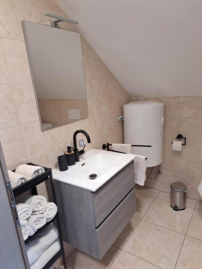 Apartmaji Tisa In Zana Rovte エクステリア 写真