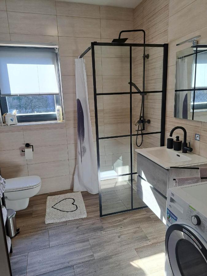Apartmaji Tisa In Zana Rovte エクステリア 写真
