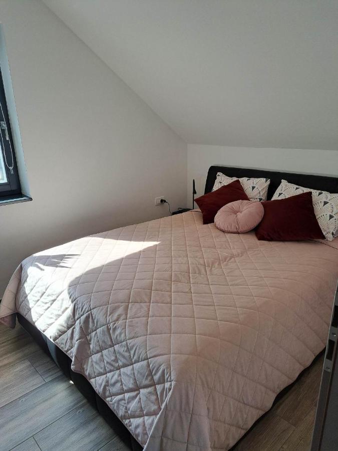 Apartmaji Tisa In Zana Rovte エクステリア 写真