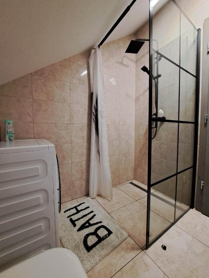 Apartmaji Tisa In Zana Rovte エクステリア 写真