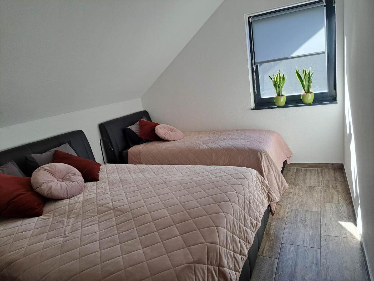 Apartmaji Tisa In Zana Rovte エクステリア 写真
